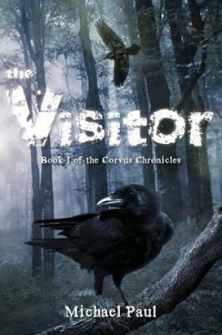 Cover of The Visitor