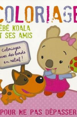 Cover of Bebe Koala Et Ses Amis - Coloriages Magiques !