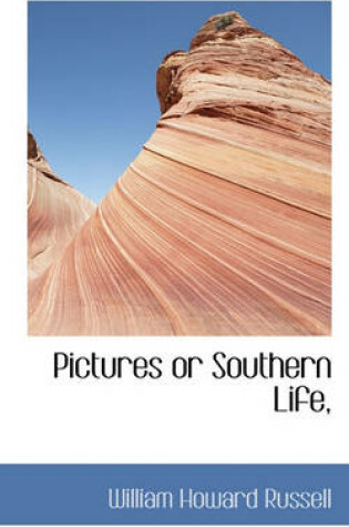 Cover of Pictures or Southern Life,