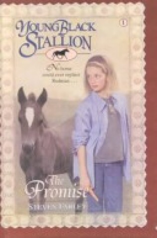 Cover of The Promise