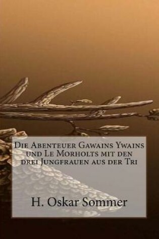 Cover of Die Abenteuer Gawains Ywains und Le Morholts mit den drei Jungfrauen aus der Tri