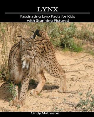 Book cover for Lynx