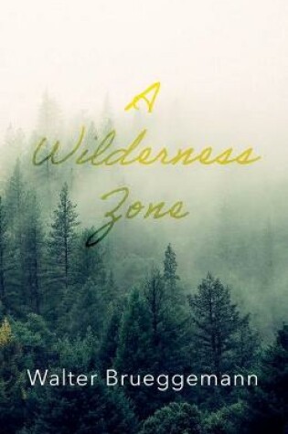 Cover of A Wilderness Zone