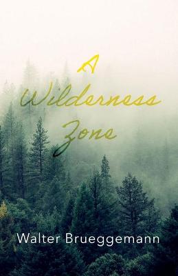 Book cover for A Wilderness Zone
