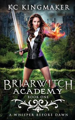Book cover for Briarwitch Academy 1