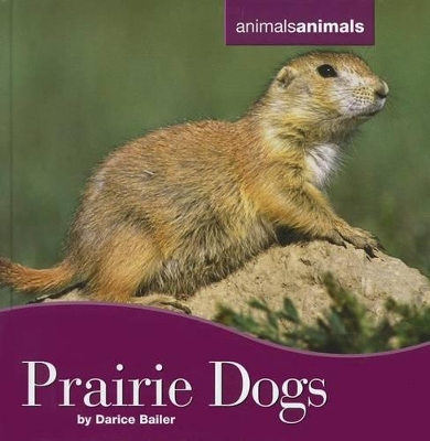 Book cover for Prairie Dogs