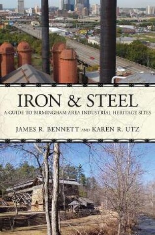 Cover of Iron and Steel