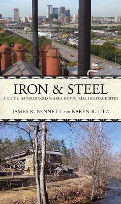 Book cover for Iron and Steel