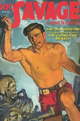 Cover of The Sea Magician and the Living-fire Menace