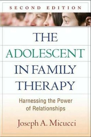 Cover of The Adolescent in Family Therapy, Second Edition