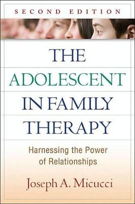 Book cover for The Adolescent in Family Therapy, Second Edition