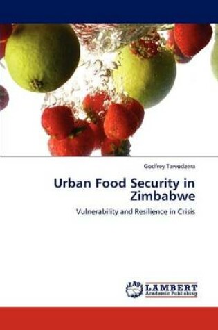 Cover of Urban Food Security in Zimbabwe