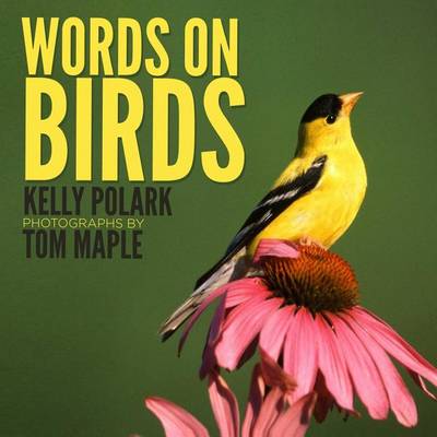 Book cover for Words on Birds