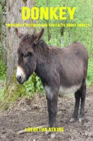 Cover of Donkey