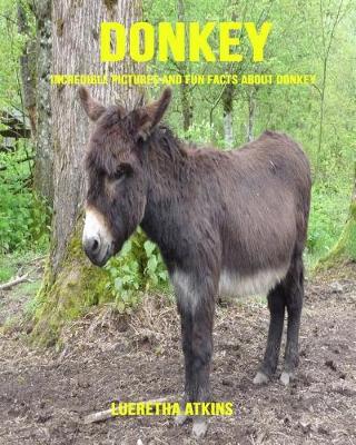 Book cover for Donkey