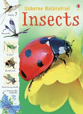 Cover of Insects