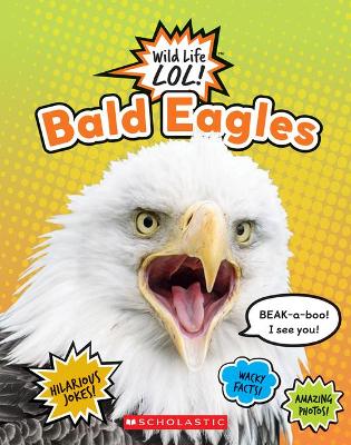 Book cover for Bald Eagles (Wild Life Lol!)