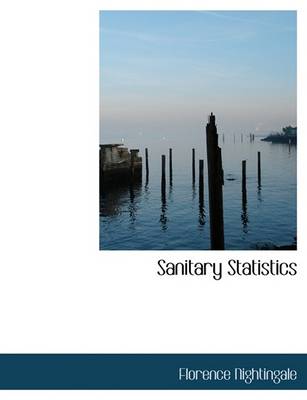 Book cover for Sanitary Statistics