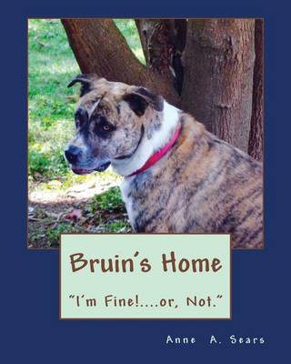 Book cover for Bruin's Home (Book 4)
