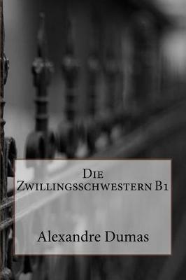 Book cover for Die Zwillingsschwestern B1