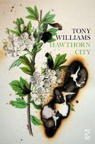 Cover of Hawthorn City