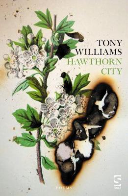 Cover of Hawthorn City