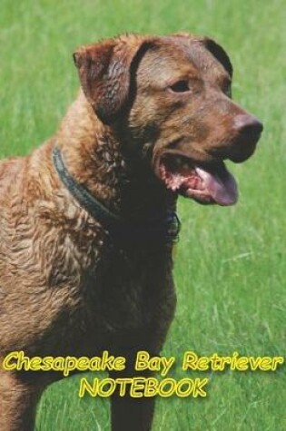 Cover of Chesapeake Bay Retriever NOTEBOOK