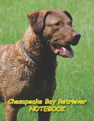 Book cover for Chesapeake Bay Retriever NOTEBOOK