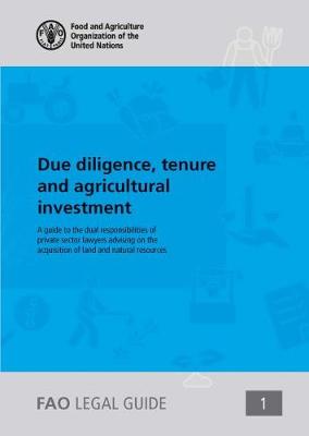 Book cover for Due diligence, tenure and agricultural investment