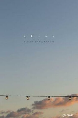 Cover of Skies