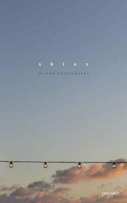 Book cover for Skies