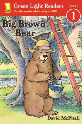 Cover of Big Brown Bear