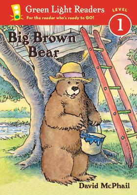 Book cover for Big Brown Bear