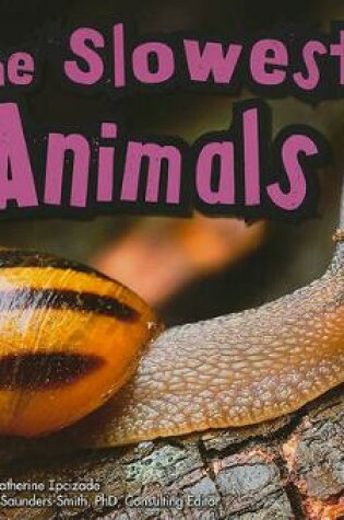 Cover of Extreme Animals Slowest Animals