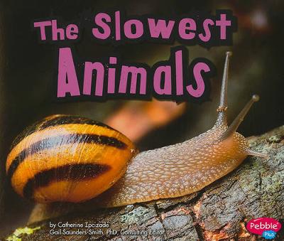 Book cover for Extreme Animals Slowest Animals