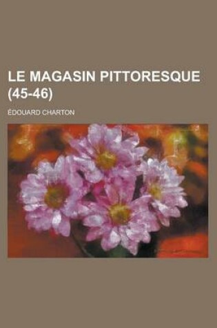 Cover of Le Magasin Pittoresque (45-46 )