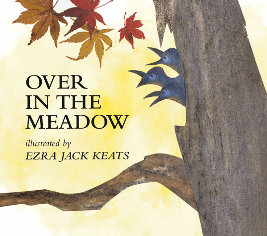 Book cover for Over in the Meadow