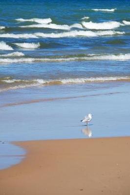 Book cover for Seagull's Walk - Blank Notebook