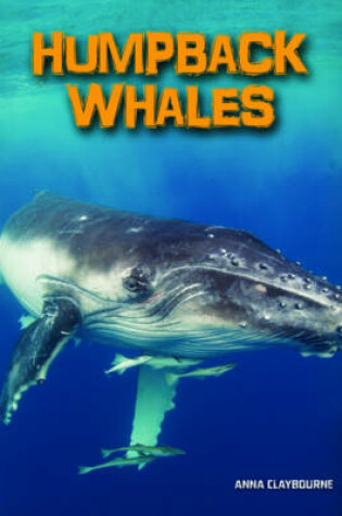 Cover of Humpback Whales