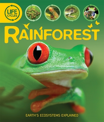 Cover of Life Cycles: Rainforest