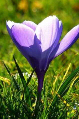 Cover of Purple Crocus in the Grass, for the Love of Flowers