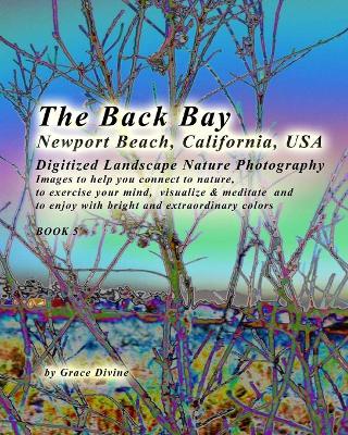 Book cover for The Back Bay Newport Beach California USA Digitized Landscape Nature Photography