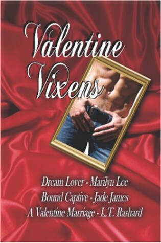 Cover of Valentine Vixens