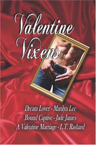 Book cover for Valentine Vixens