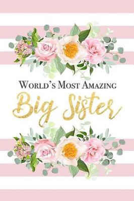 Book cover for World's Most Amazing Big Sister