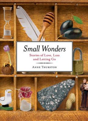 Book cover for Small Wonders