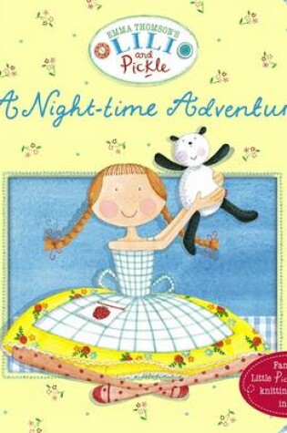 Cover of A Night-time Adventure