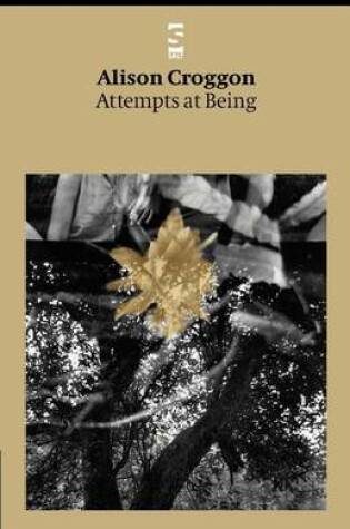 Cover of Attempts at Being