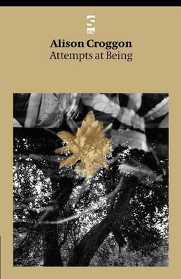 Book cover for Attempts at Being