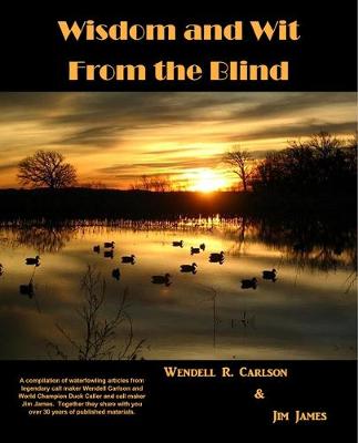 Book cover for Wisdom and Wit from the Blind